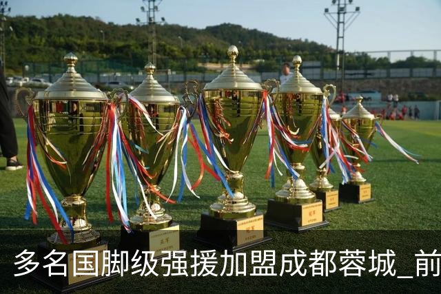 多名国脚级强援加盟成都蓉城 前场还有进人空间